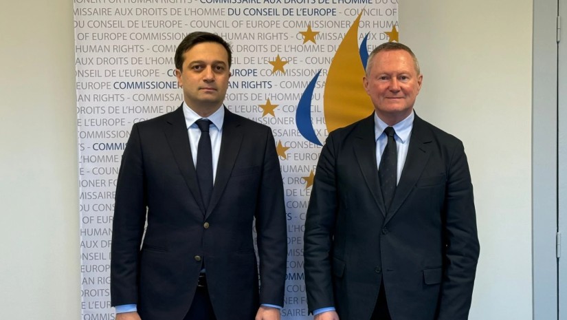  სახალხო დამცველი ევროპის საბჭოს ადამიანის უფლებათა კომისარს შეხვდა