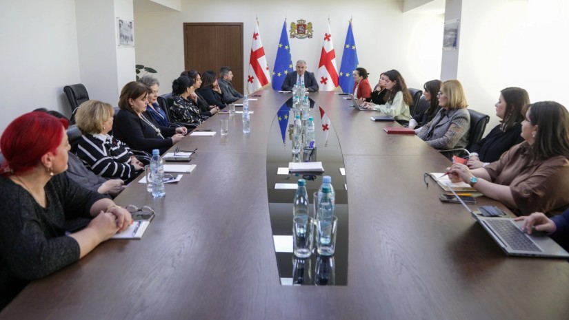  ექთნებისა და მეან-ექთნების საქმიანობის განვითარებისა და პროფესიული რეგულირების საკითხებზე, ჯანდაცვის სამინისტროში, შეხვედრა გაიმართა