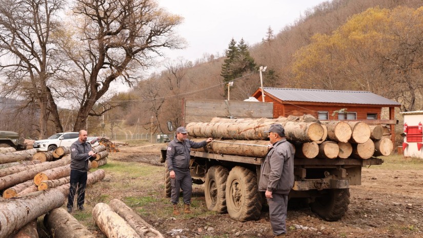 ბაკურიანი-წაღვერის სატყეო უბნის ტერიტორიაზე ხე-ტყის უკანონო მოპოვებისა და ტრანსპორტირების ფაქტი გამოვლინდა