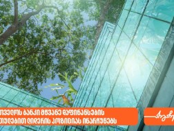 ეროვნული ბანკი: საქართველოს ბანკი მწვანე დაფინანსების მიმართულებით ლიდერის პოზიციას ინარჩუნებს