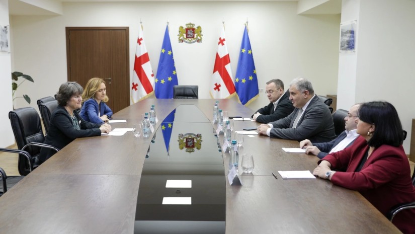  მიხეილ სარჯველაძე გაეროს ლტოლვილთა უმაღლესი კომისარიატის (UNHCR) საქართველოს წარმომადგენლობის ხელმძღვანელს შეხვდა