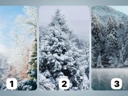 პეიზაჟი