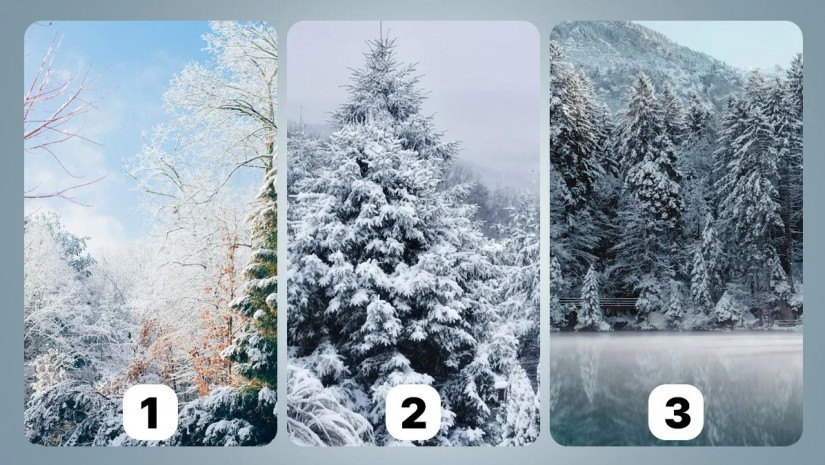 პეიზაჟი