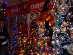 ოჯახმა წინასაახალწლოდ საკუთარ საცხოვრებელ სახლში 621 საშობაო ნაძვი ხე მორთო