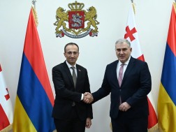 მიხეილ სარჯველაძე სომხეთის შრომისა და სოციალურ საკითხთა მინისტრს შეხვდა მიხეილ სარჯველაძე სომხეთის შრომისა და სოციალურ საკითხთა მინისტრს შეხვდა