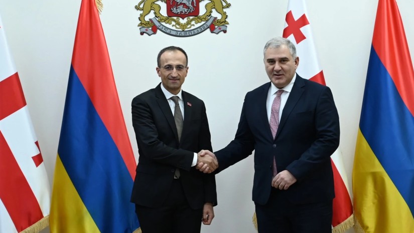  მიხეილ სარჯველაძე სომხეთის შრომისა და სოციალურ საკითხთა მინისტრს შეხვდა