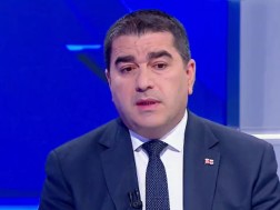 შალვა პაპუაშვილი შალვა პაპუაშვილი