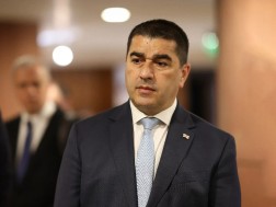 შალვა პაპუაშვილი