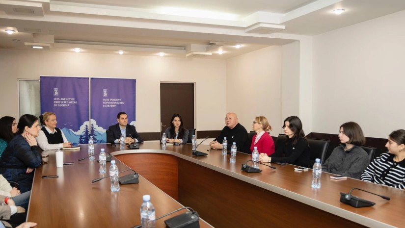 დაცული ტერიტორია