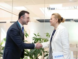 დავით სონღულაშვილი