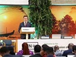 დავით სონღულაშვილი