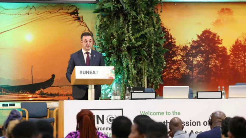 დავით სონღულაშვილი