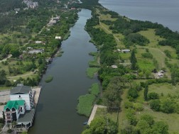 კაპარჭინა