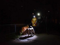 Mykola Tys/EPA/Shutterstock Mykola Tys/EPA/Shutterstock