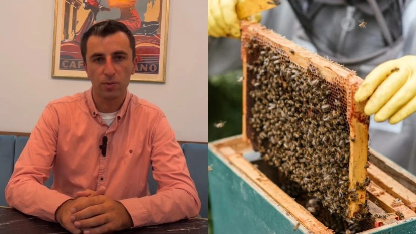 ირაკლი არაბული