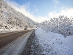 ნიჩბისი ნიჩბისი