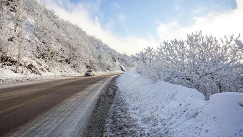 ნიჩბისი