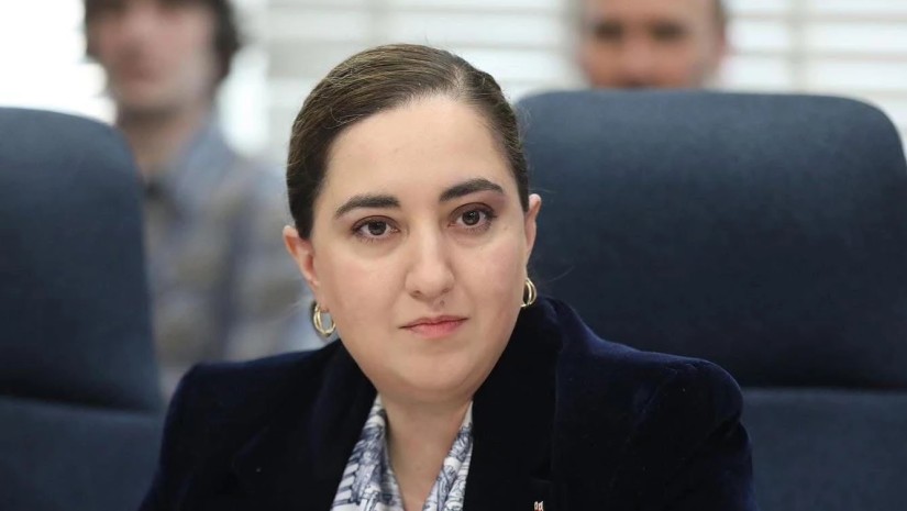 ფინანსთა მინისტრის მოადგილე