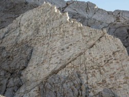 იტალიის მთებში დინოზავრების ათასობით ნაკვალევი აღმოაჩინეს