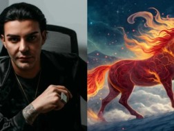 ცხენის წელი 