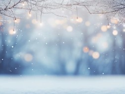 დეკემბრის ამინდი დეკემბრის ამინდი