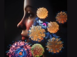 წითელი მგლურა