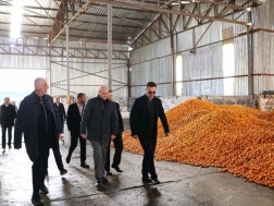 დავით სონღულაშვილი