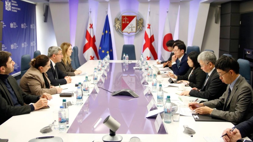 ფინანსთა მინისტრის მოადგილეები იაპონიის საპარლამენტო დელეგაციას შეხვდნენ