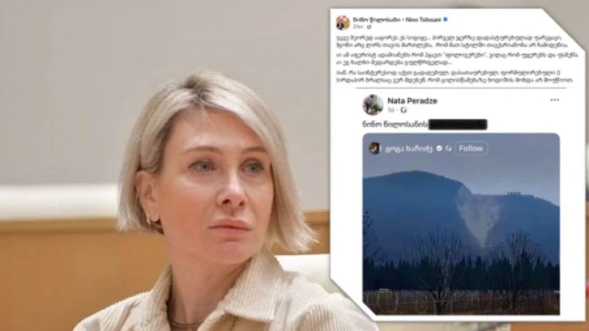 ნინო წილოსანი