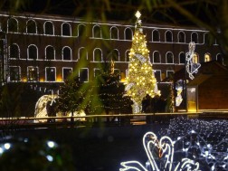 ტყიბული ტყიბული