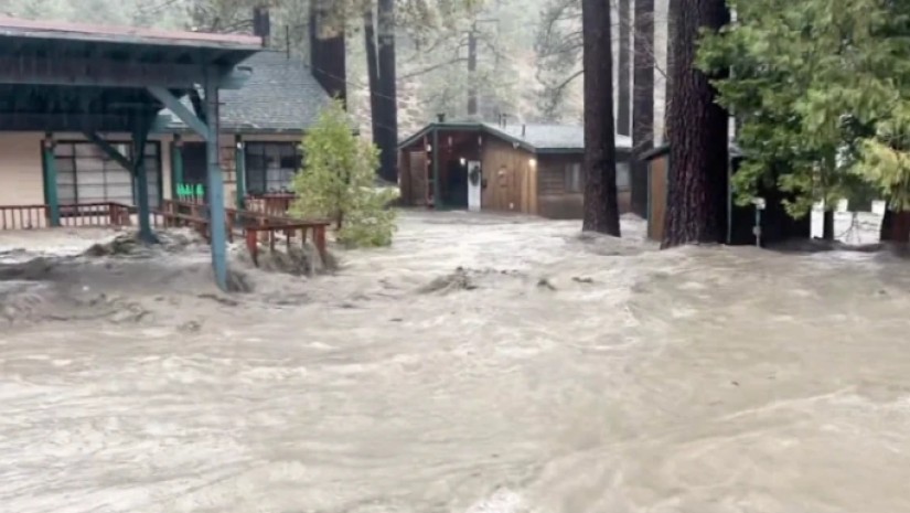 კალიფორნია