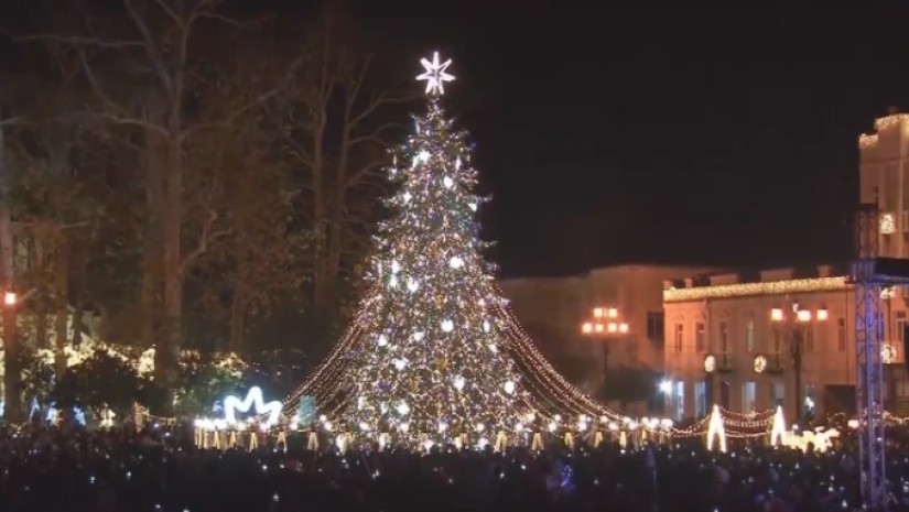 ოზურგეთში მთავარი ნაძვის ხე