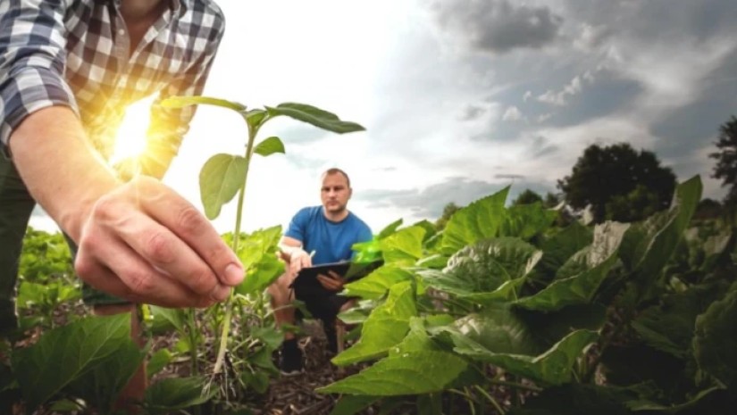 ჩრდილოეთ მაკედონიას, ევროკავშირმა თანხების გამოყოფა ქრთამის აღების საქმესთან დაკავშირებული სკანდალის გამო შეუჩერა