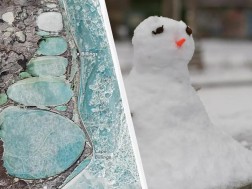 თოვლის კაცი