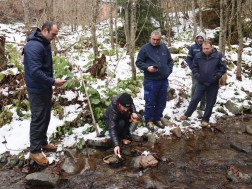სვანეთში, მდინარე ენგურის შენაკადები ნაკადულის კალმახის ქვირითით დათევზიანდა