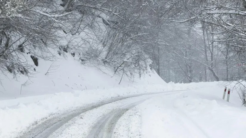 საავტომობილო გზების დეპარტამენტი 