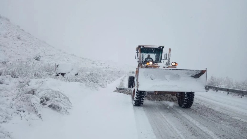 ტრაქტორი თოვლი