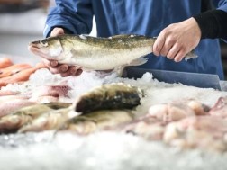 თევზის ბაზრობა