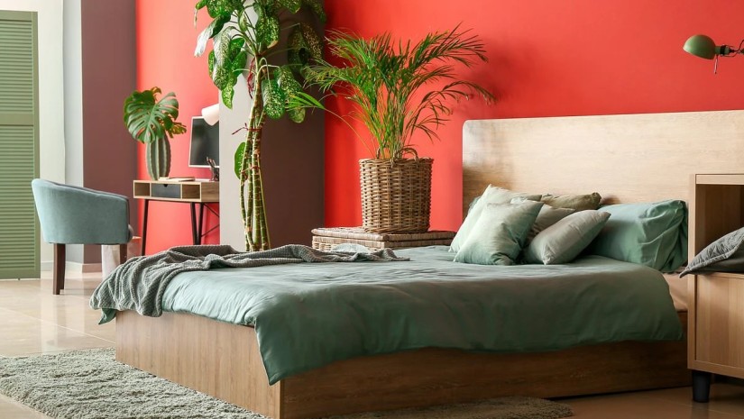 სხვადასხვა