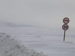 ინფორმაცია მძღოლებისთვის 