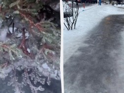 ყინვა კიევი ყინვა კიევი