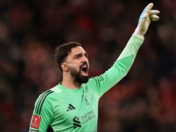 მამარდა