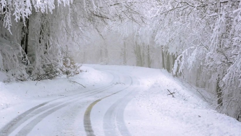 ვერონა-თელავის მონაკვეთზე ავტოტრანსპორტის მოძრაობის შეზღუდვა დაწესდა