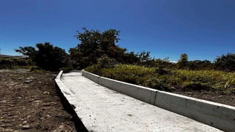 სარწყავი არხი