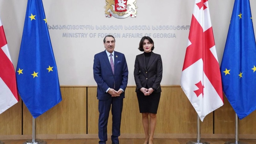 საგარეო საქმეთა მინისტრი კატარის ელჩს შეხვდა