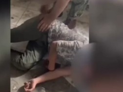 ძალადობა