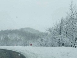 თოვლიანი გზა