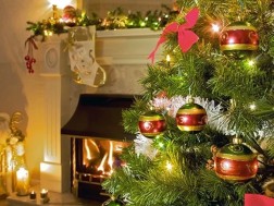 ნაძვის ხე