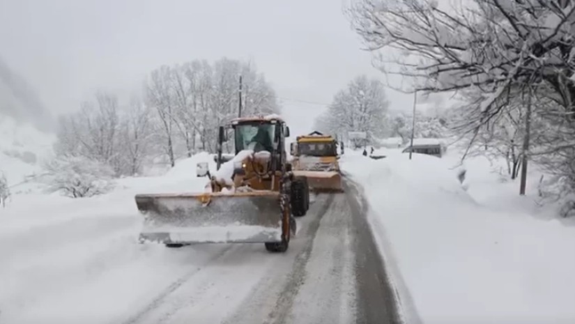 შეზღუდვები გზებზე
