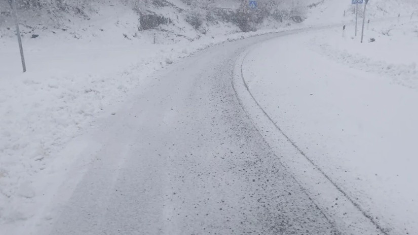 საგარეჯო-უდაბნო-დავით გარეჯის მონასტრის გზა